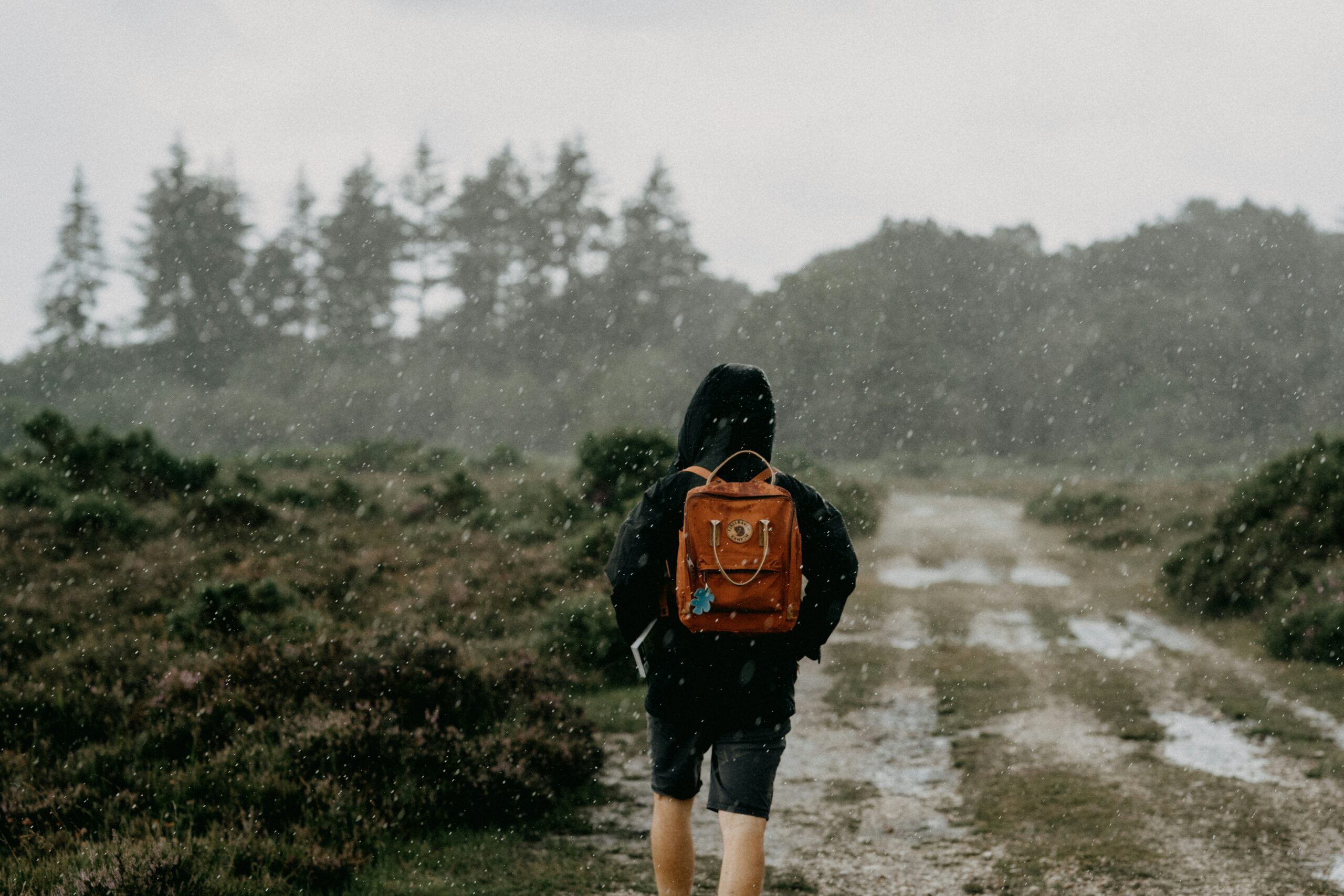 The Ultimate Waterproofs Guide: Stay Dry on Every   Walk