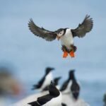 ray hennessy phnbeyvpwga unsplash