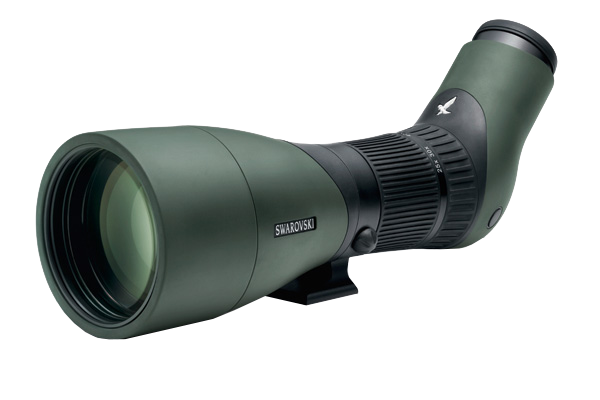 swarovskiatx3070x95spottingscopekitangled

Binoculars vs Spotting Scopes: Which Is Right for You?