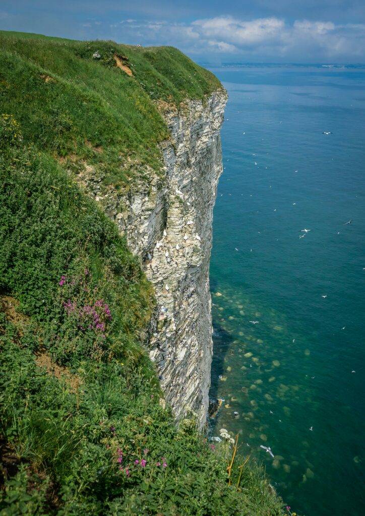 james armes hdbaddjiwf0 unsplash

Bempton Cliffs 
