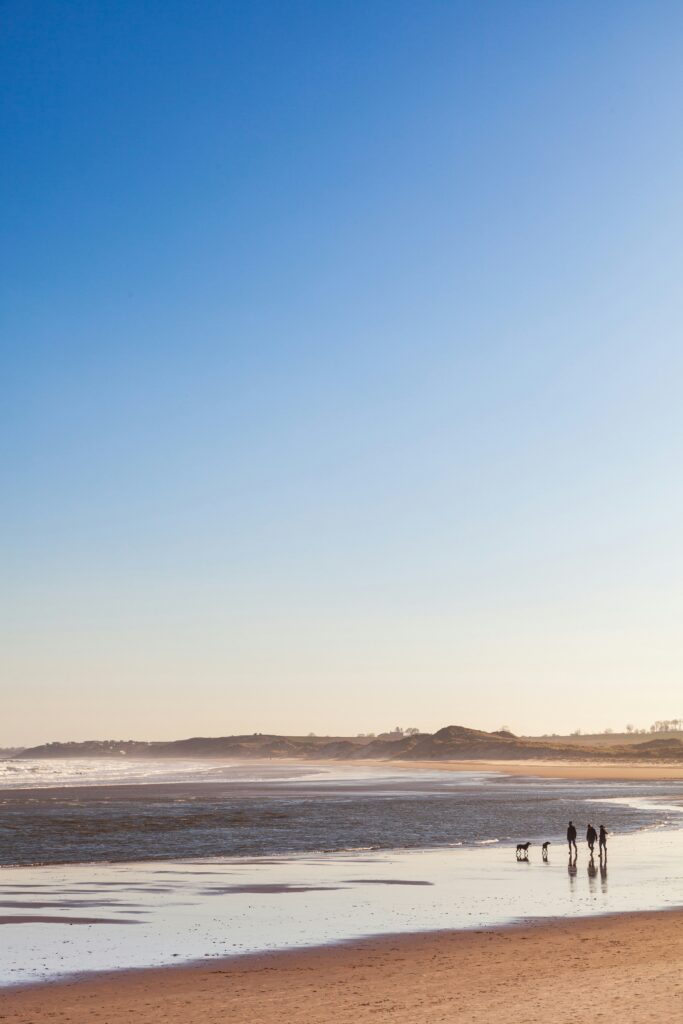 alnmouth beach darren richardson yujlpwvumhu unsplash