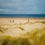 cheswick sands phil hearing 2wombsc66xk unsplash