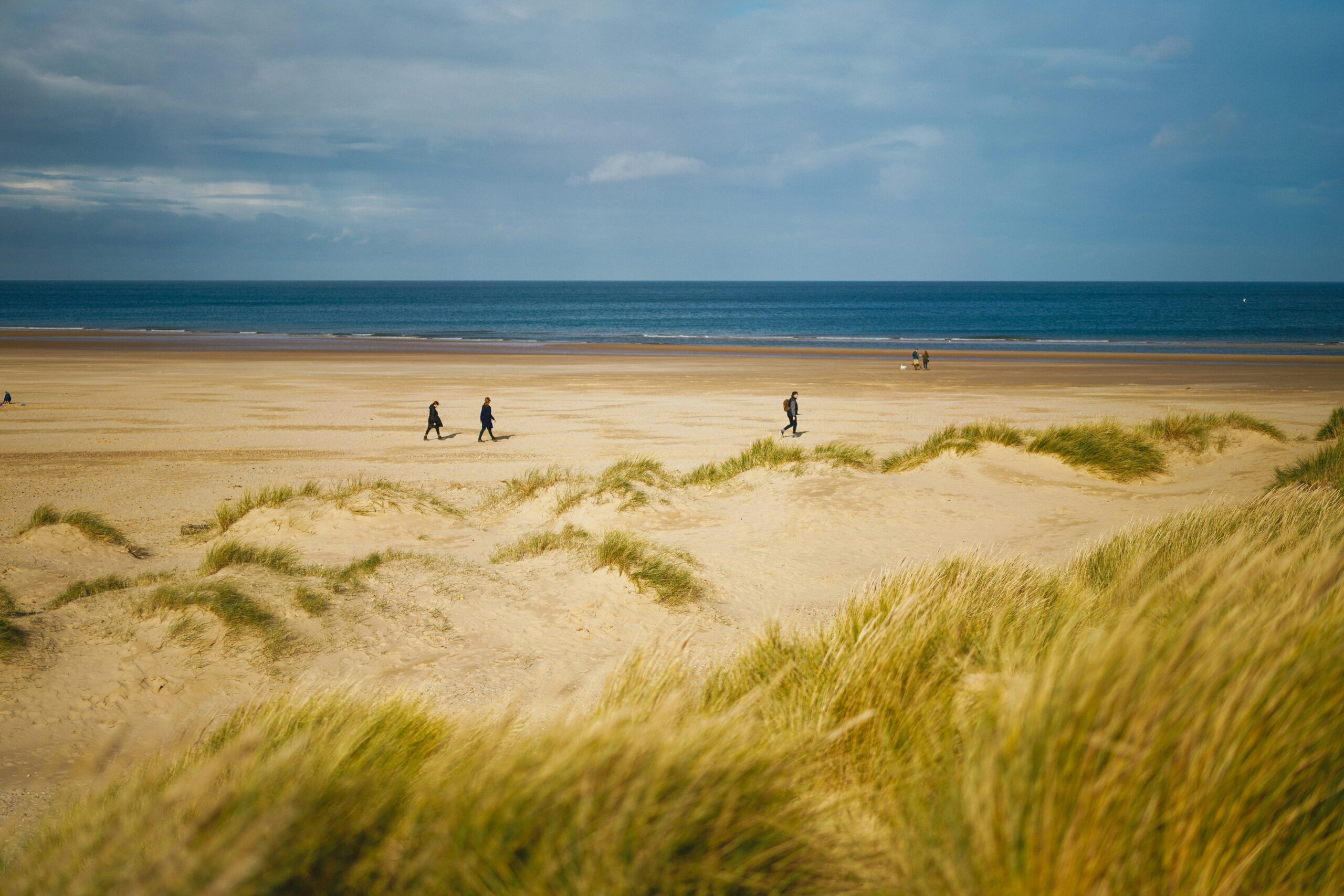 Northumberland Beach Walks: Hidden Shores & Wild Castles