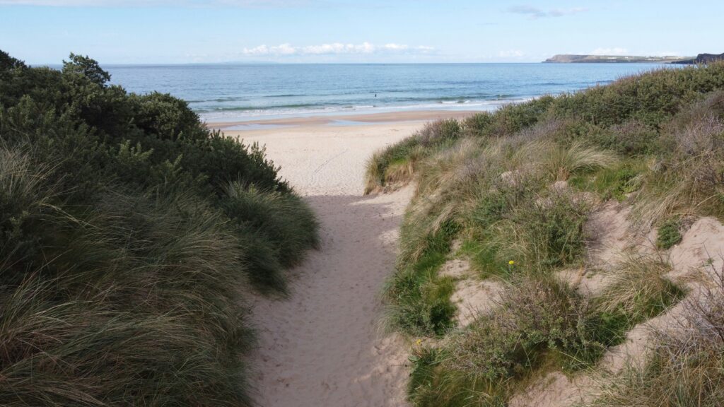 ross sands geoffrey moffett 1eko56 r1gq unsplash