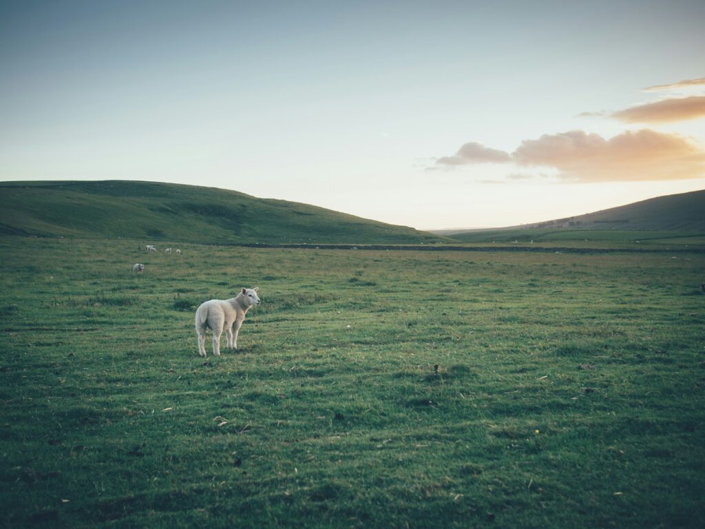 Stunning Routes in the Peak District, Derbyshire: 15 Best Walks for Every Explorer edale
Stunning Routes in the Peak District, Derbyshire: 15 Best Walks for Every Explorer