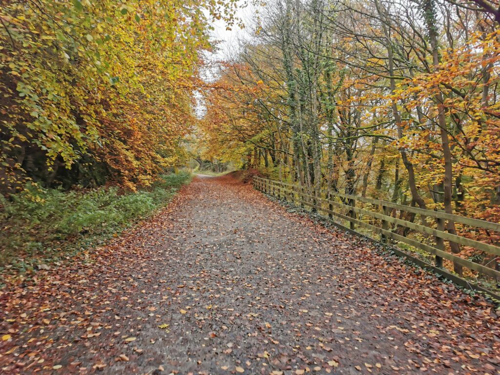 Stunning Routes in the Peak District, Derbyshire: 15 Best Walks for Every Explorer monsal trail
Stunning Routes in the Peak District, Derbyshire: 15 Best Walks for Every Explorer