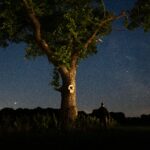night stars