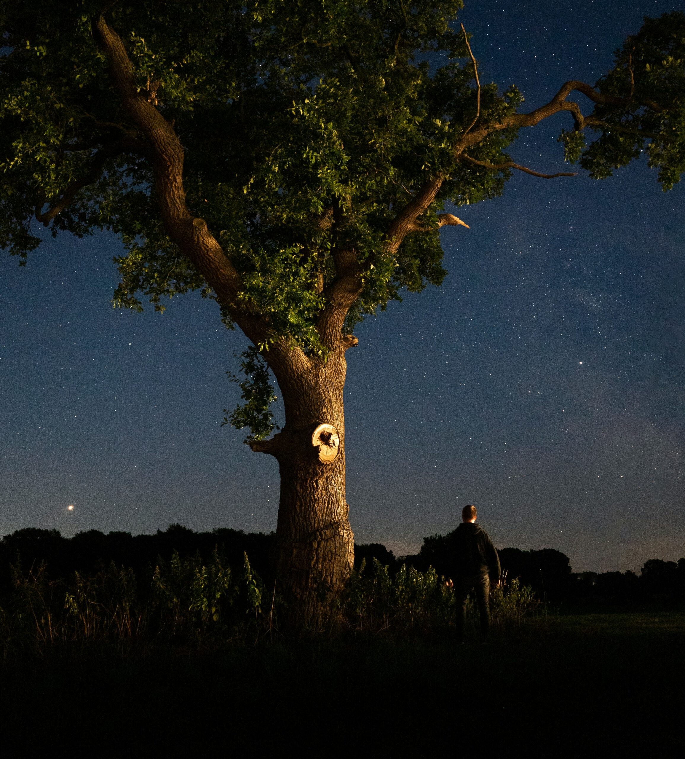 night stars