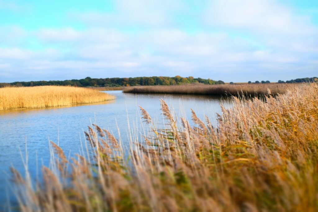 Suffolk Coastal Walks: 15 Beautiful Villages and Heathland Trails to Explore suffolk