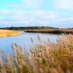 Suffolk Coastal Walks: 15 Beautiful Villages and Heathland Trails to Explore suffolk