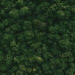 Eco-Friendly Outdoor Gear for UK Adventures: Sustainable Kit That Protects the Places We Love alina markiv urnbptychqa unsplash