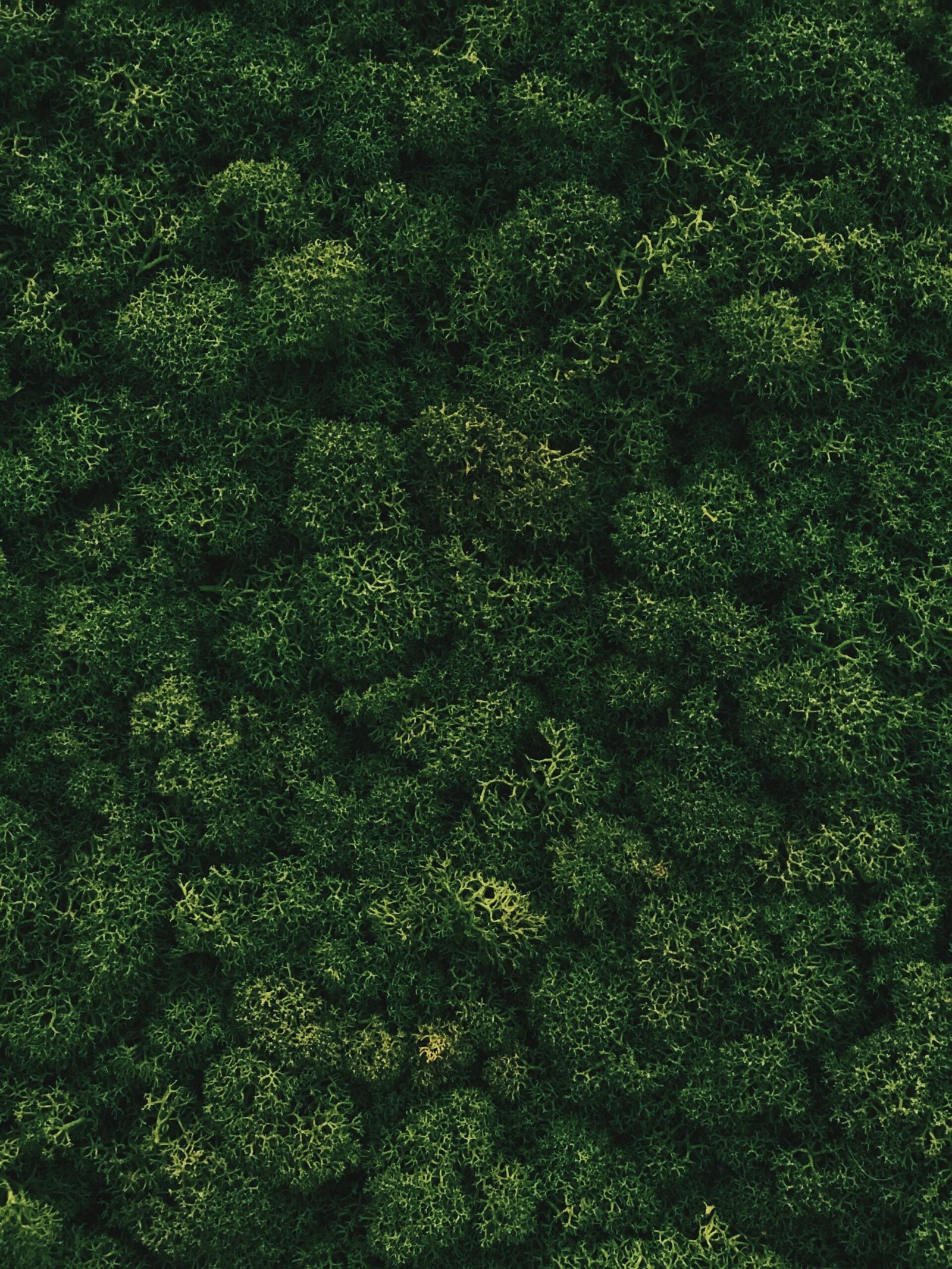 Eco-Friendly Outdoor Gear for UK Adventures: Sustainable Kit That Protects the Places We Love Eco-Friendly Outdoor Gear for UK Adventures: Sustainable Kit That Protects the Places We Love