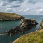Wildlife Watching in Ceredigion: 15 Stunning Walks for Nature Lovers cardigan bay