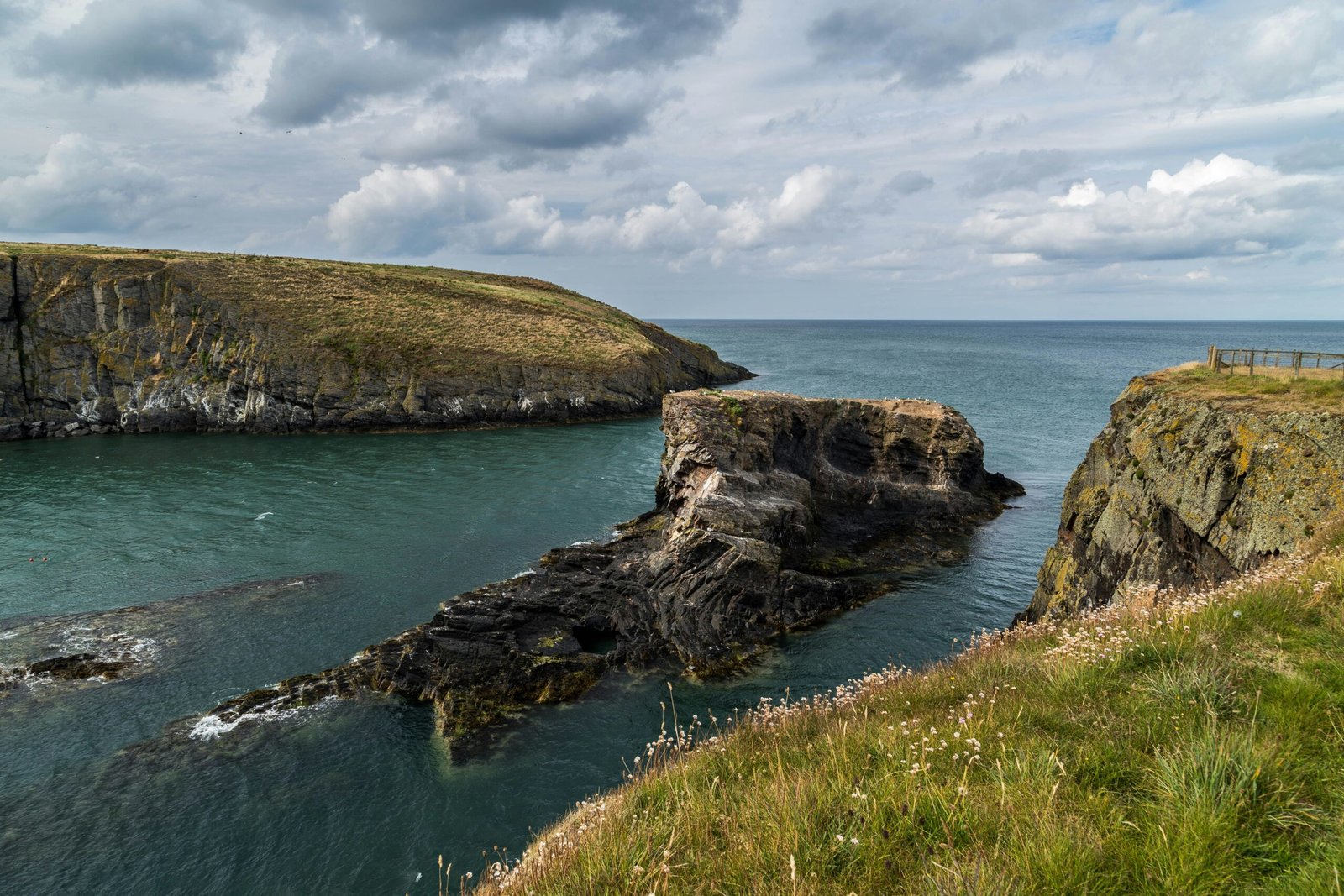 Wildlife Watching in Ceredigion: 15 Stunning Walks for Nature Lovers cardigan bay