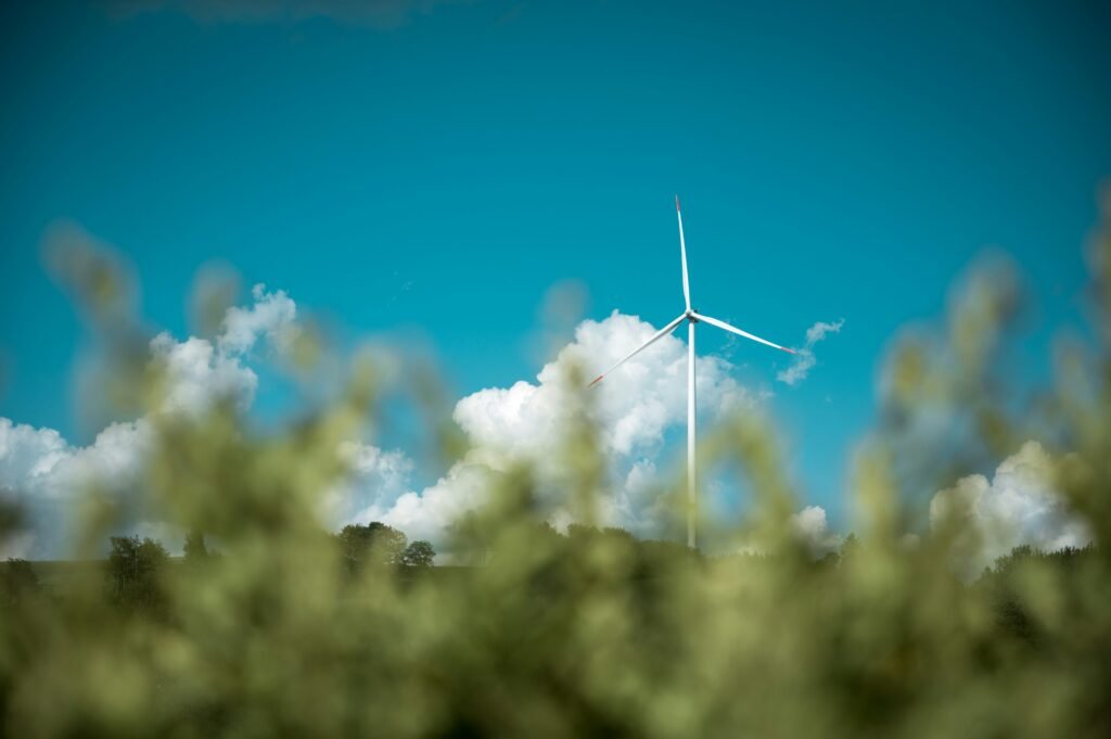 jan kopriva j3qbmrltmoq unsplash