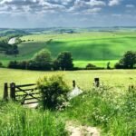 south downs