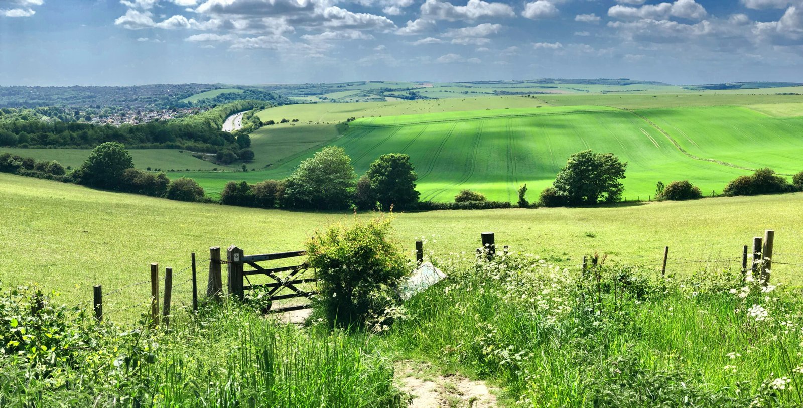 Best Seafront Walks and South Downs Trails in West Sussex: 15 Incredible Routes to Explore