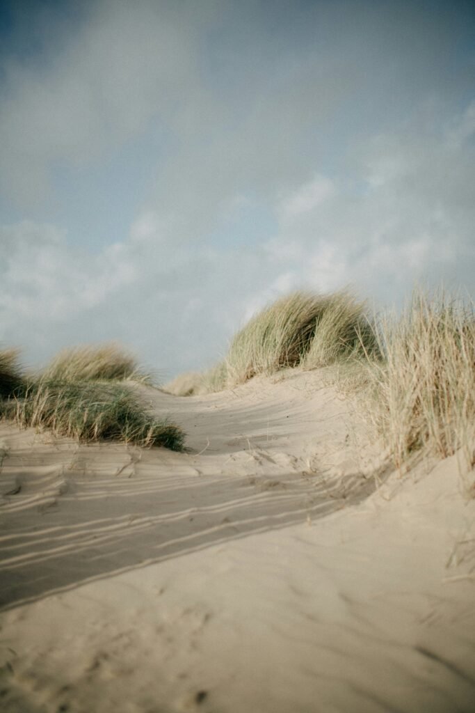 Best Lancashire Coastal Walks and Forest Trails ainsdale sand dunes
