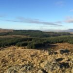 gisburn forest