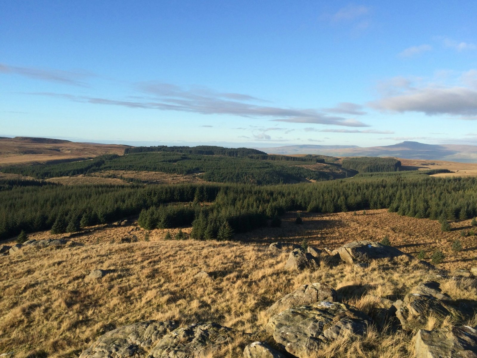 Best Lancashire Coastal Walks and Forest Trails gisburn forest