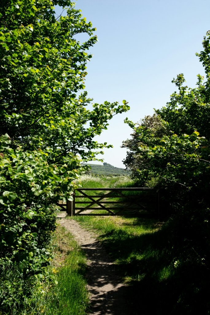 hadleigh country park