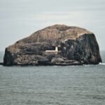 bass rock